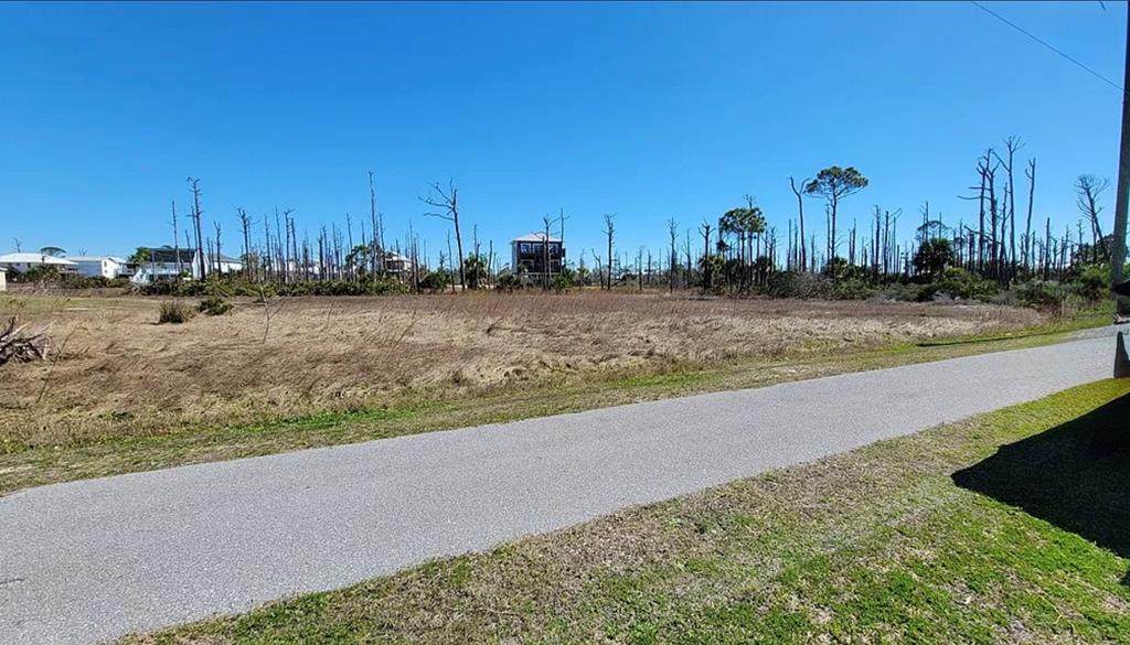 Lot 4A Cape San Blas Rd - Photo 1
