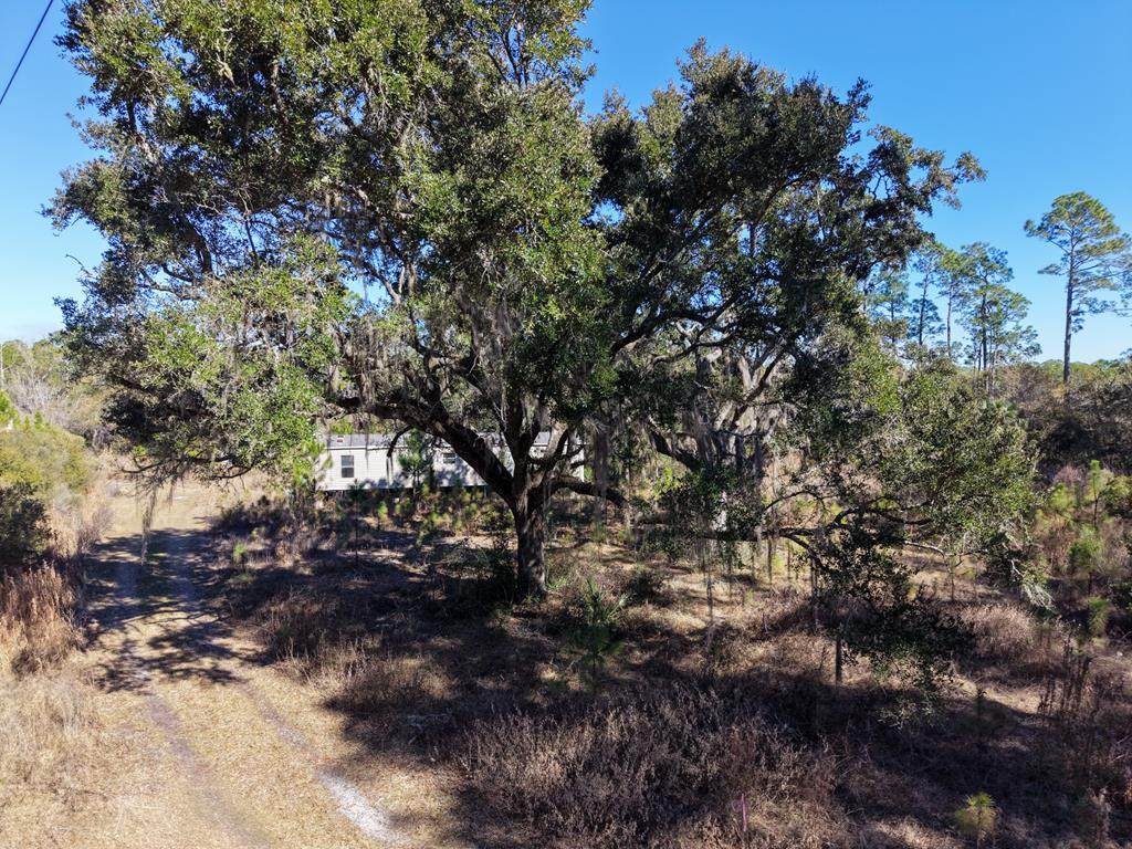 150 Jeffie Tucker Rd - Photo 1