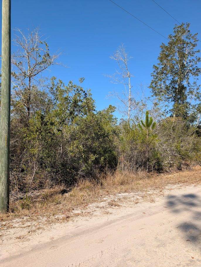 846 Hickory Hammock Rd - Photo 1