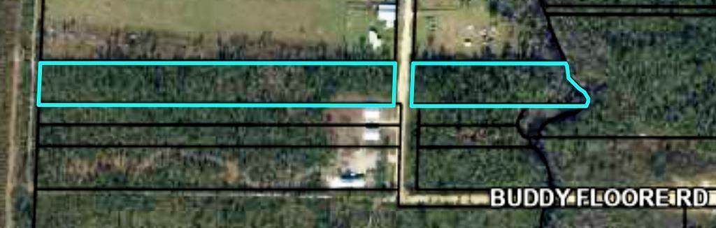 Lot 42 Buddy Floore Rd - Photo 1