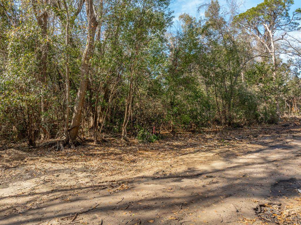 232 23rd Ave - Photo 1