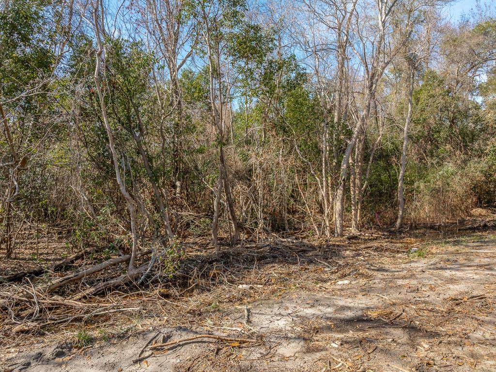 226 23rd Ave - Photo 1