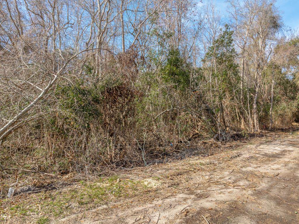 222 23rd Ave - Photo 1