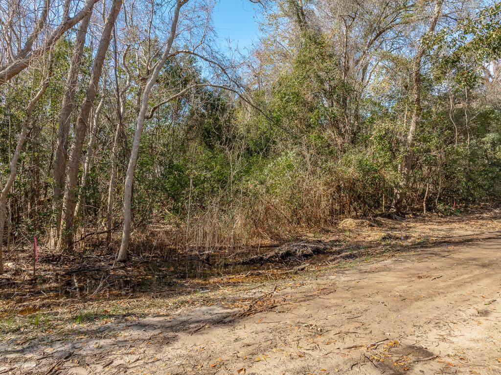 230 23rd Ave - Photo 1