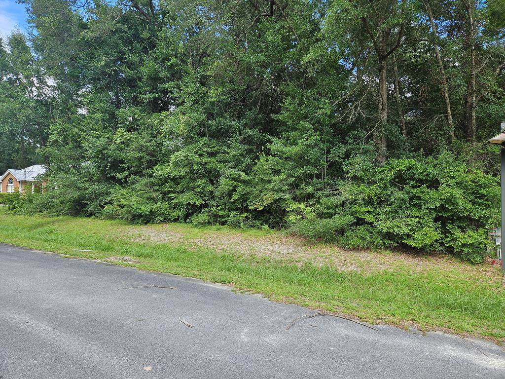 Lot 11 Little River Cir - Photo 1