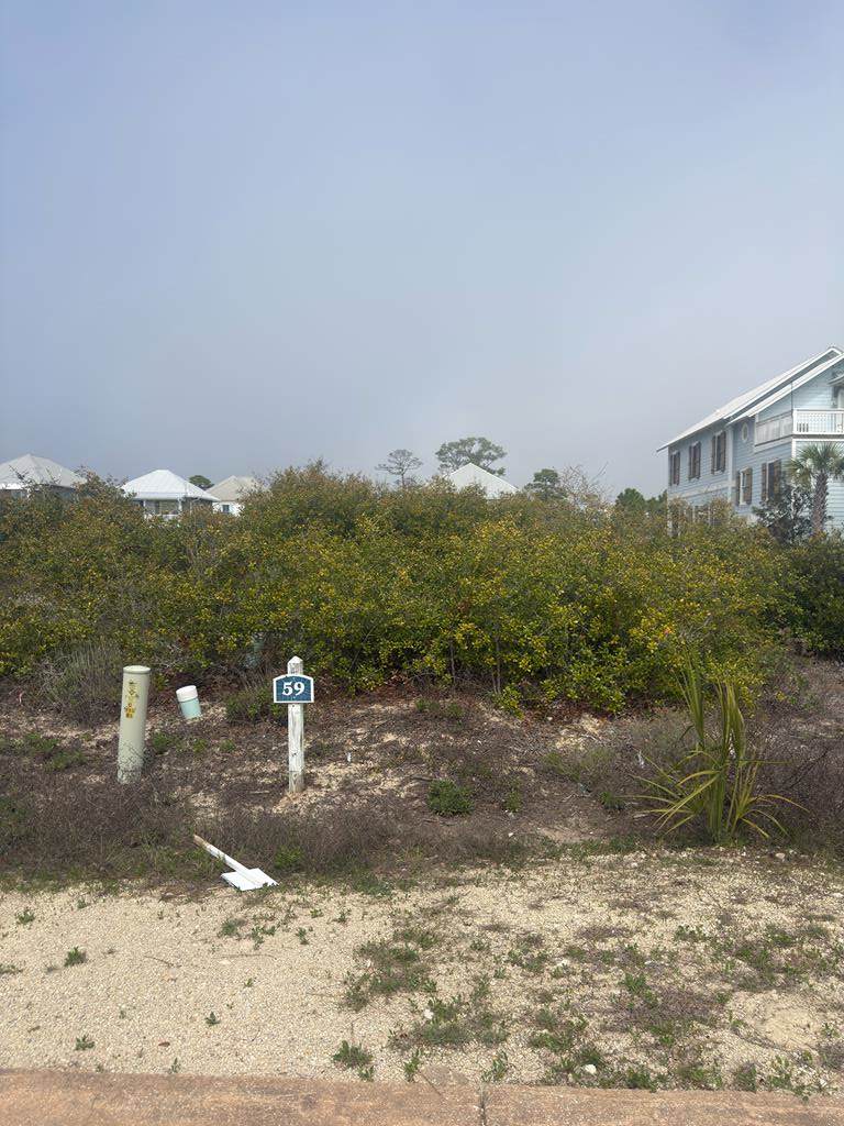 Lot 59 Loggerhead Ln - Photo 1