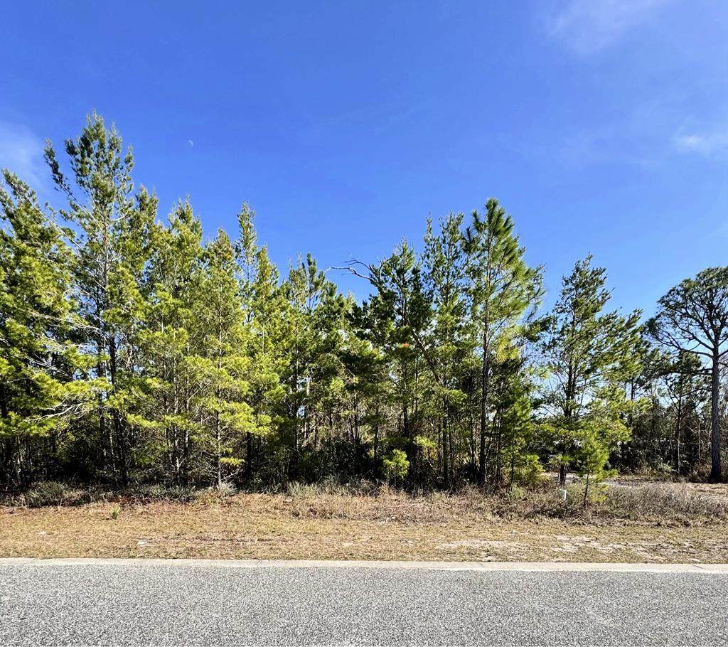 1608 Sea Breeze Way - Photo 1