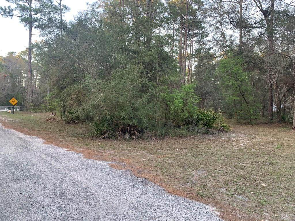 Lot 11 Buckhorn Creek Rd - Photo 1