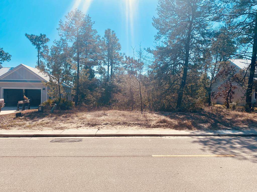 423 Royal Tern Way - Photo 1