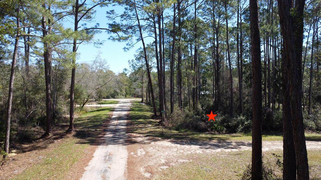 2478 Florida Ave - Photo 1