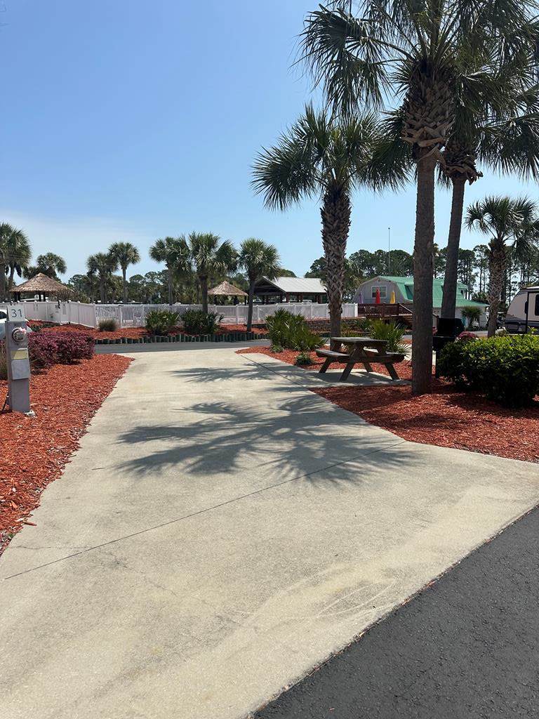 1843 Hwy 98 W - Photo 1