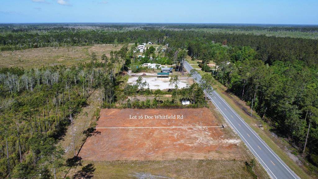 Lot 16 Doc Whitfield Rd - Photo 1