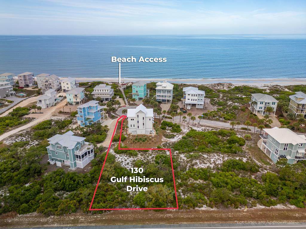 130 Gulf Hibiscus Dr - Photo 1