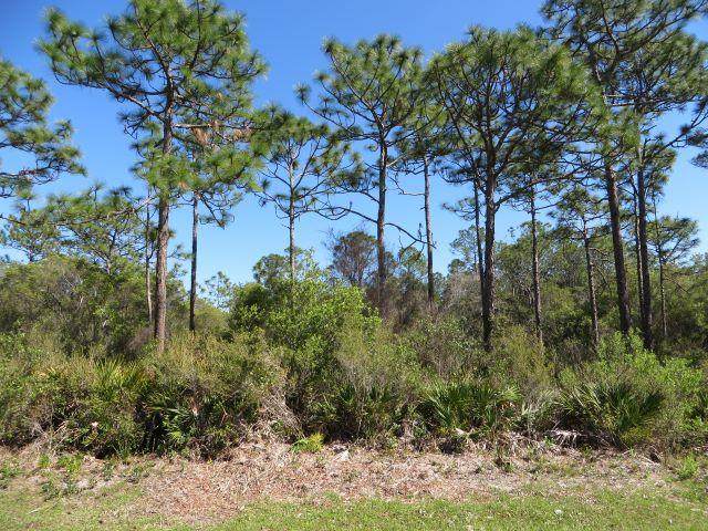 332 Frank Mckamey Way - Photo 1