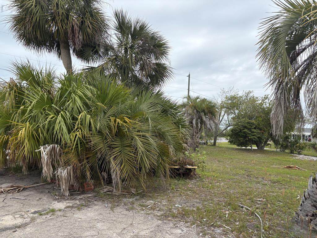 507 Cathey Ln - Photo 1