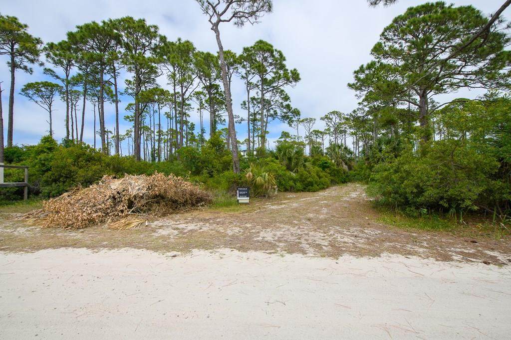 1107 E Gulf Beach Dr - Photo 1