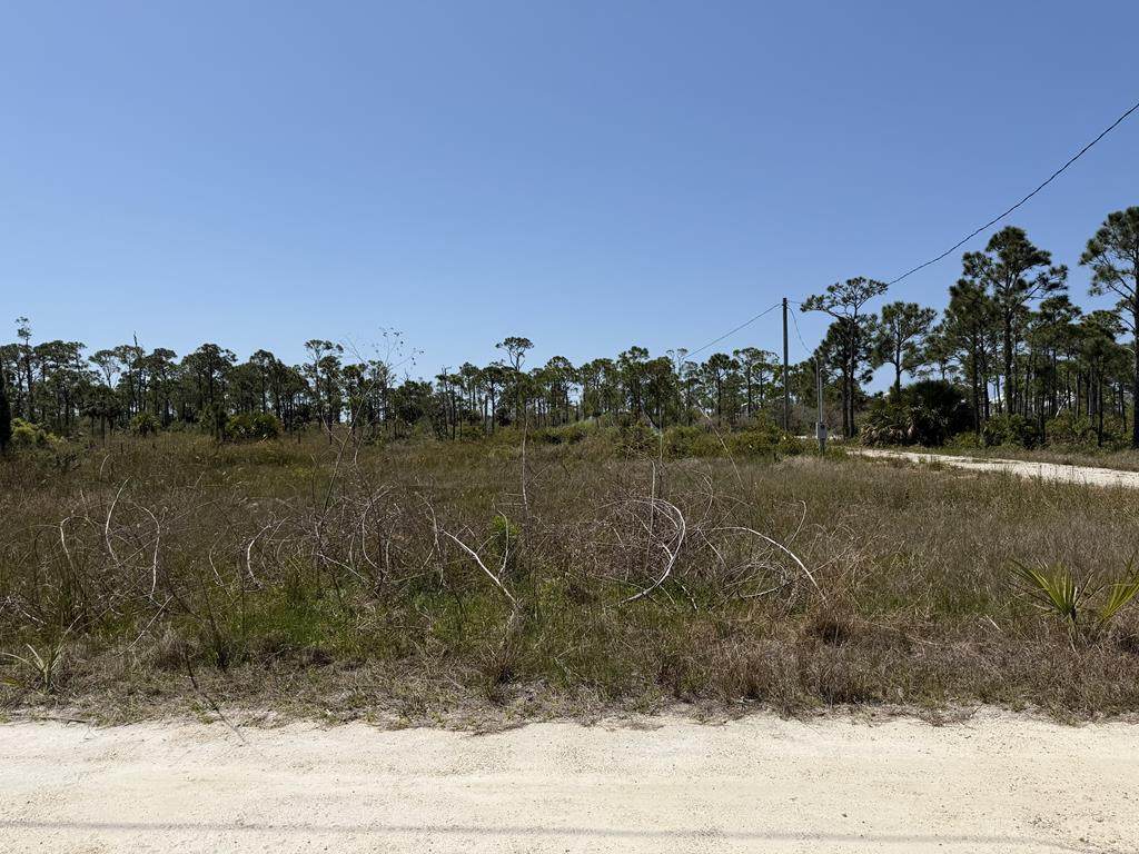 332 Blue Heron Dr - Photo 1