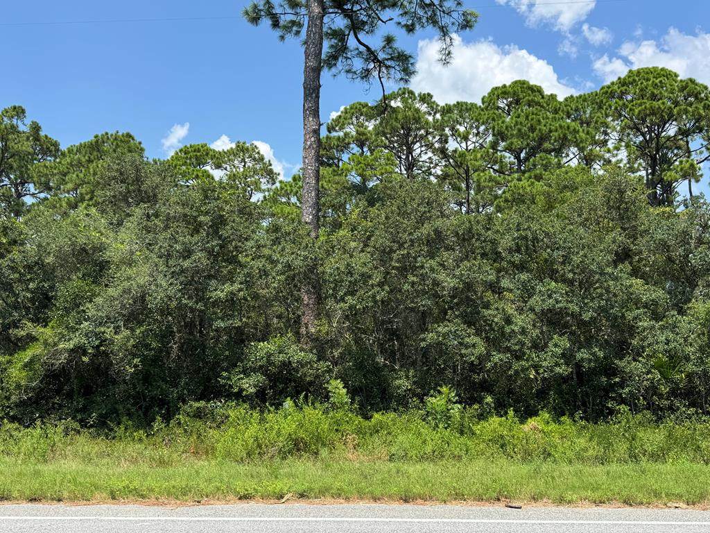1979 Hwy 98 W - Photo 1