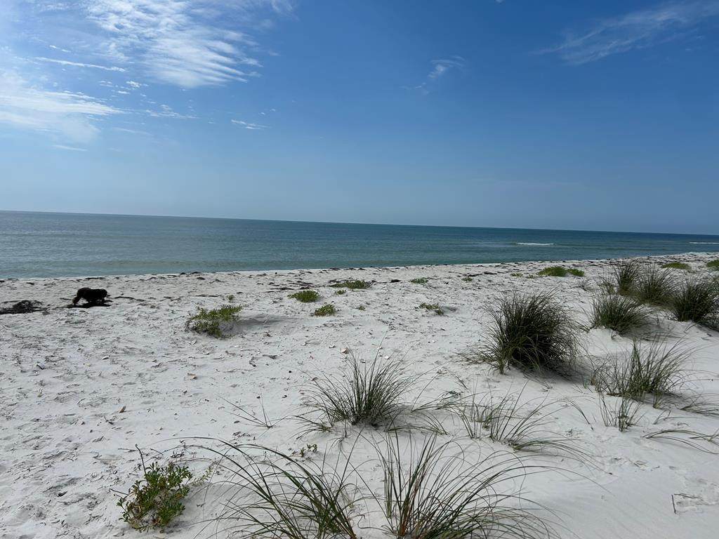 989 Gulf Shore Dr - Photo 1