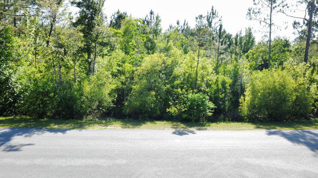 Lot 1 Old Bay City Rd - Photo 1