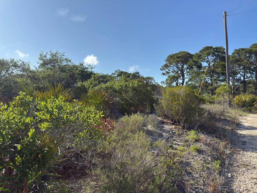 105 Sand Trace Dr - Photo 1