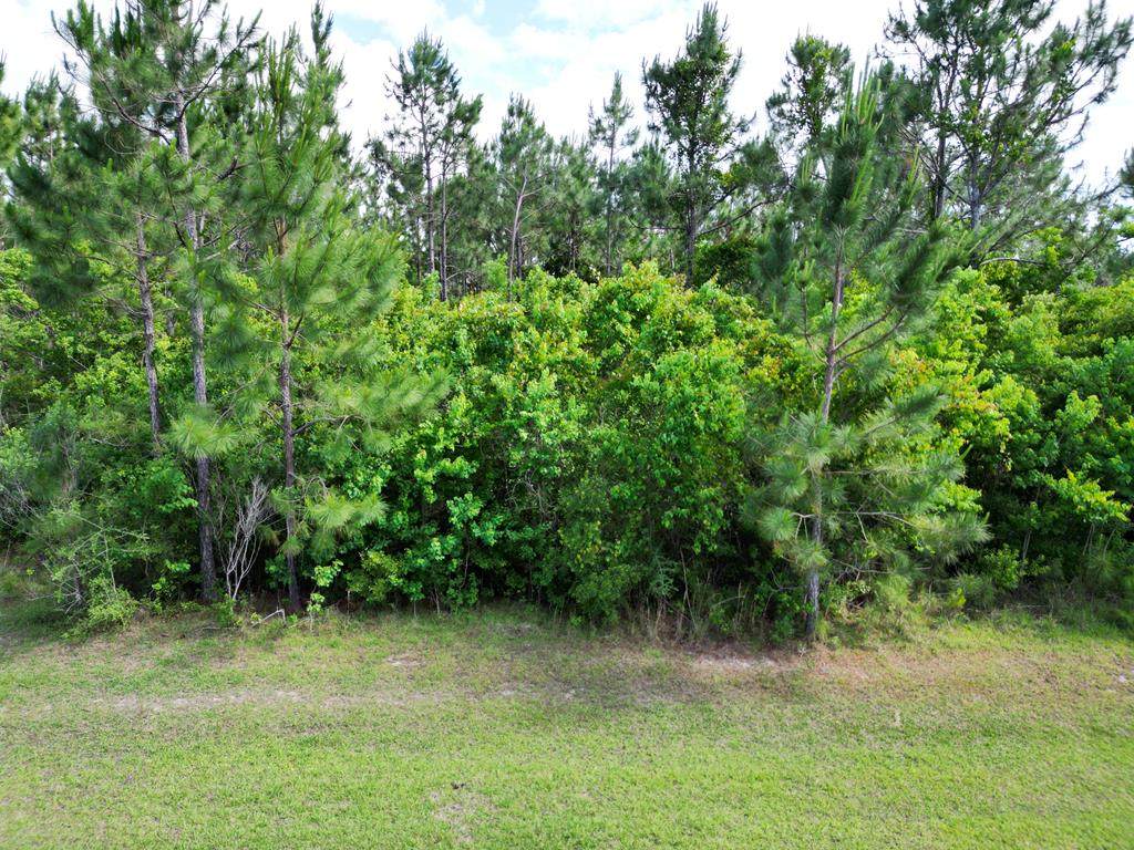 110 Torrey Pine Trl - Photo 1