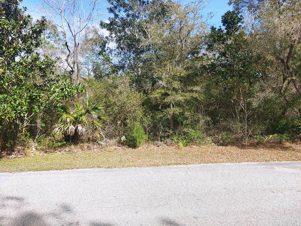125 Water Oaks Way - Photo 1