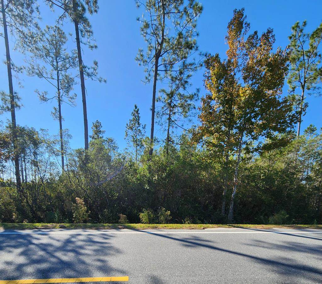 Lot 32 Doc Whitfield Rd - Photo 1