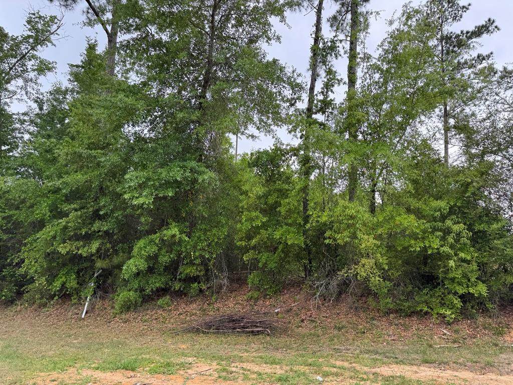 195 Bayview Dr - Photo 1