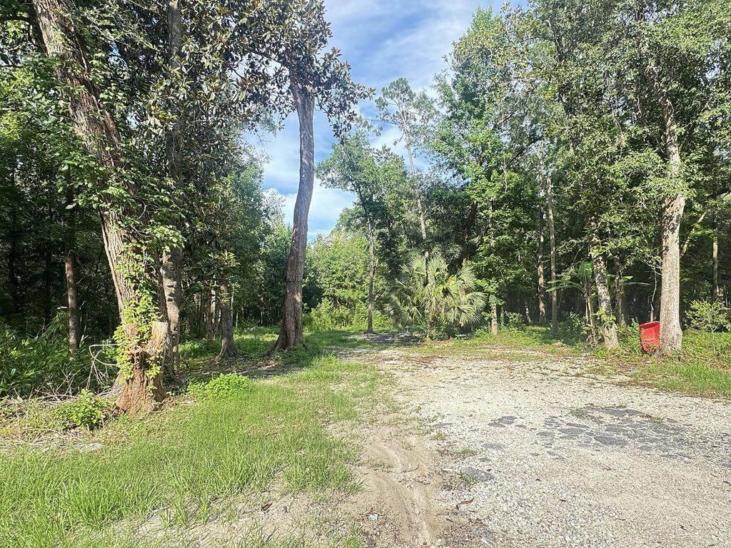 246 Mcglon Dr - Photo 1