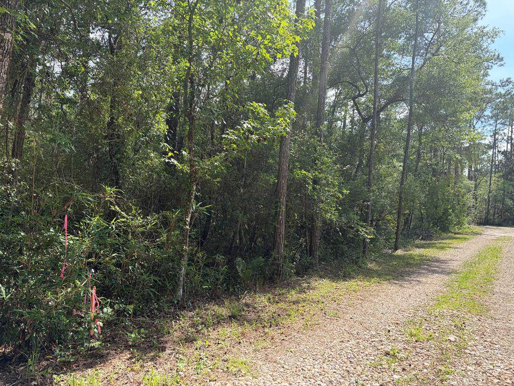 Lot 18 Pamela Pl - Photo 1