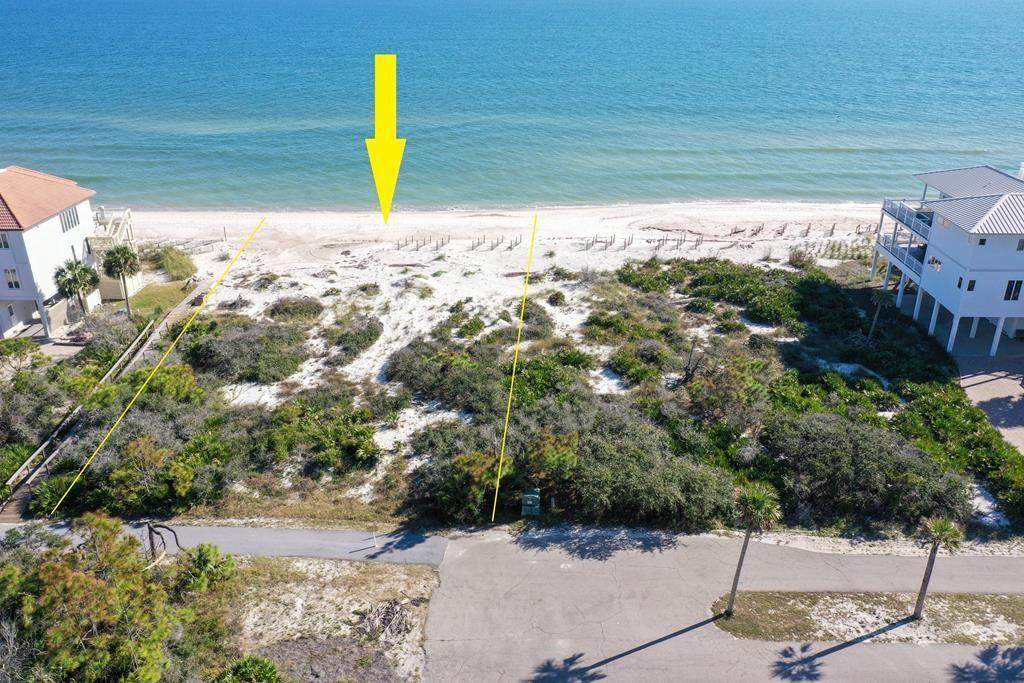 2116 Sea Fern Way - Photo 1