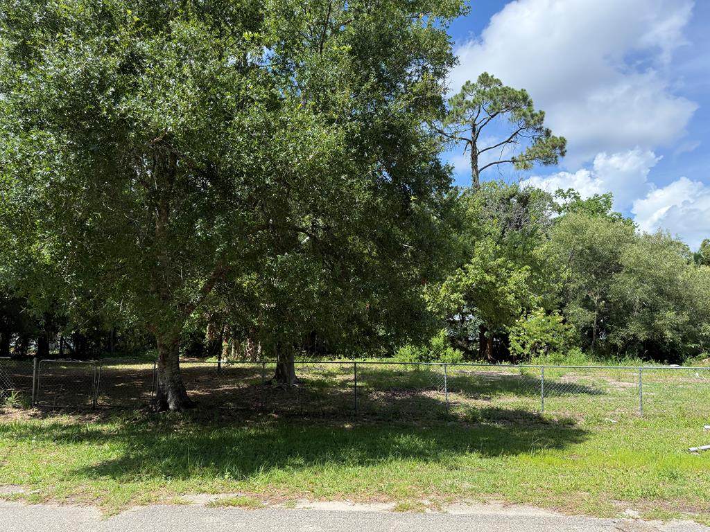 1055 Cypress St - Photo 1