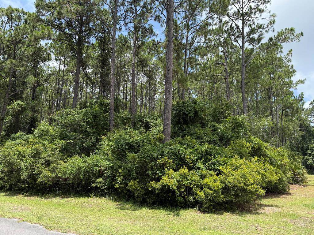 241 Boncycle Land Dr - Photo 1