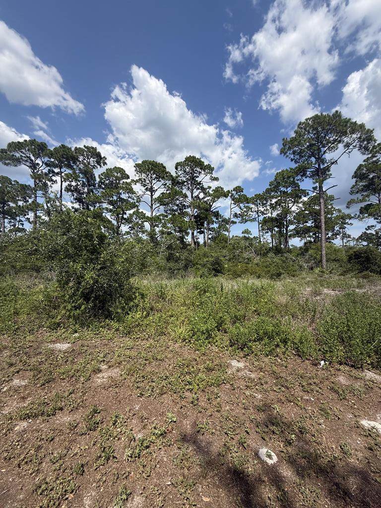 504 Tide Water Dr - Photo 1