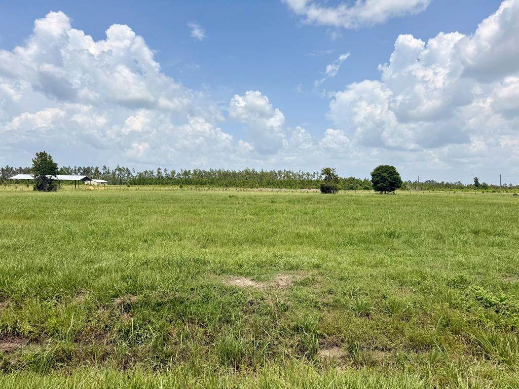 Lot 14 Harmony St - Photo 1