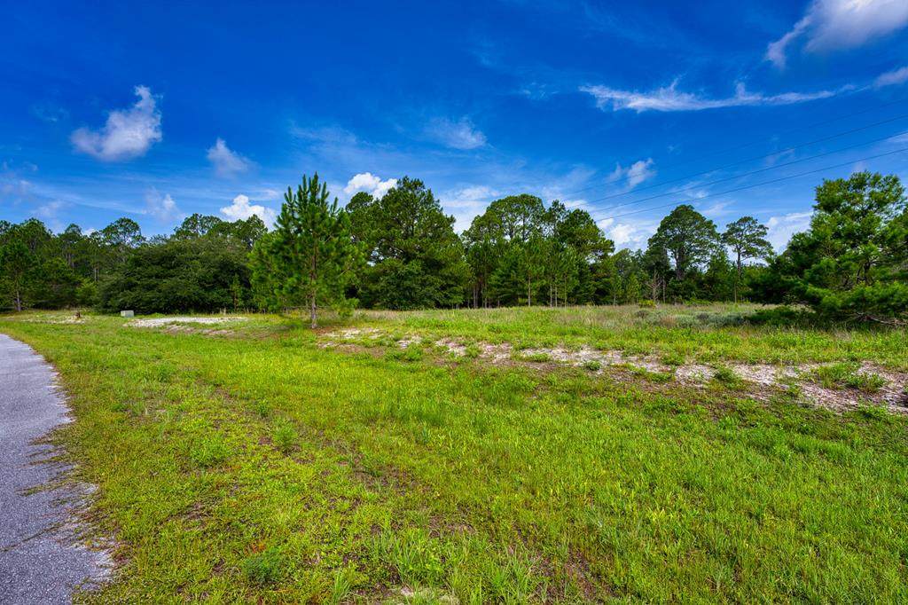 359 Gramercy Plantation Blvd - Photo 1