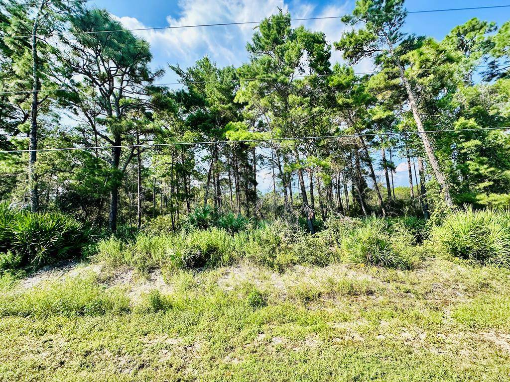271 Twin Lakes Rd - Photo 1