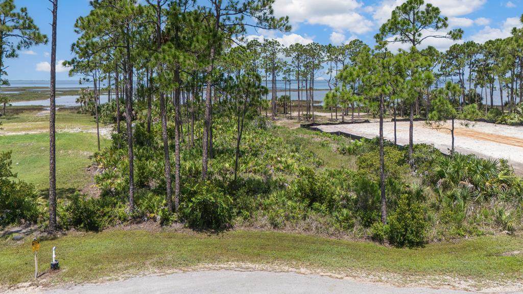 TBD Heron Bay Ln - Photo 1