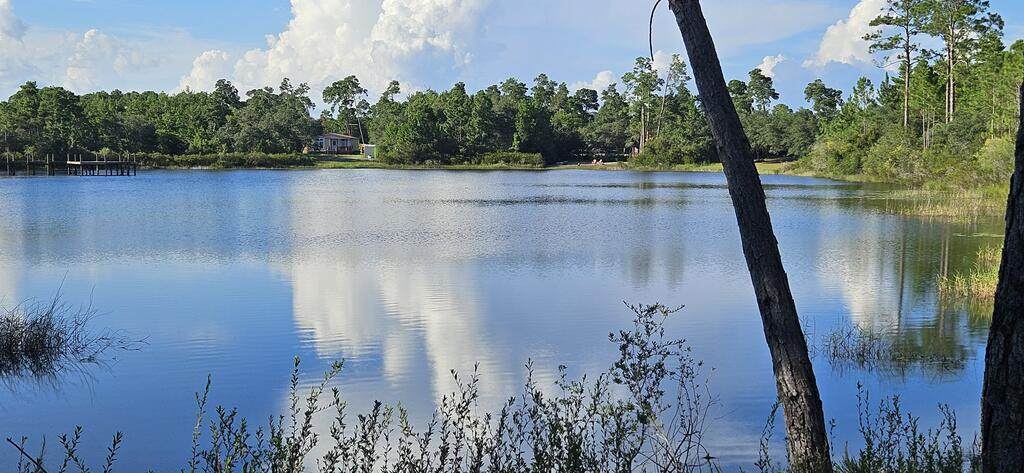178 Lake Pristine Cir - Photo 1