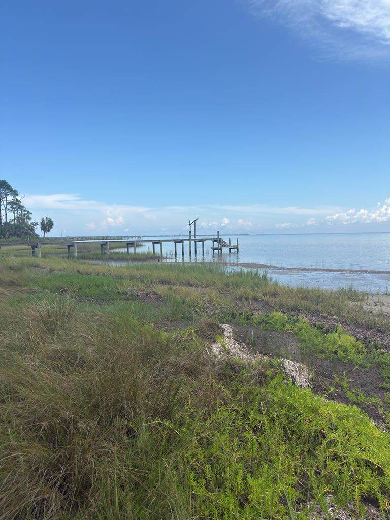 Lot 1 Cape San Blas Rd - Photo 1