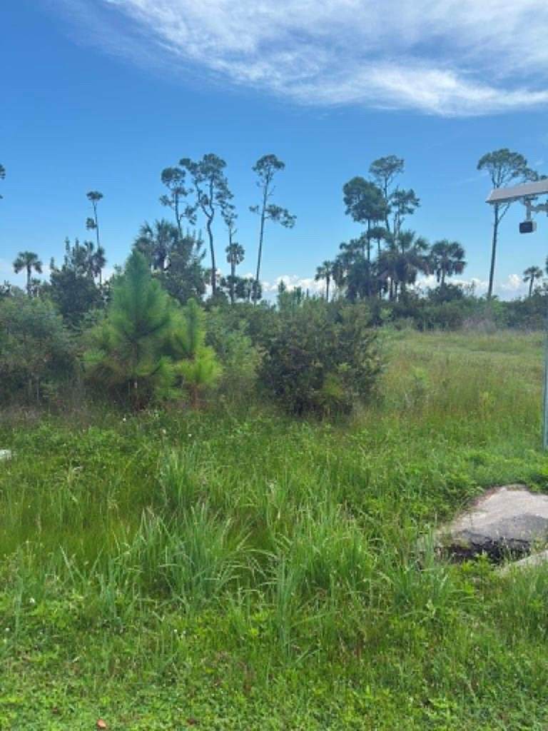 Lot 2 Cape San Blas Rd - Photo 1