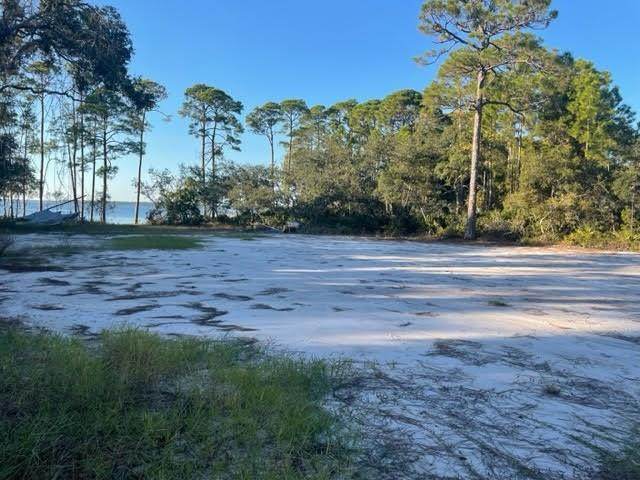 297 Magnolia Bay Dr - Photo 1