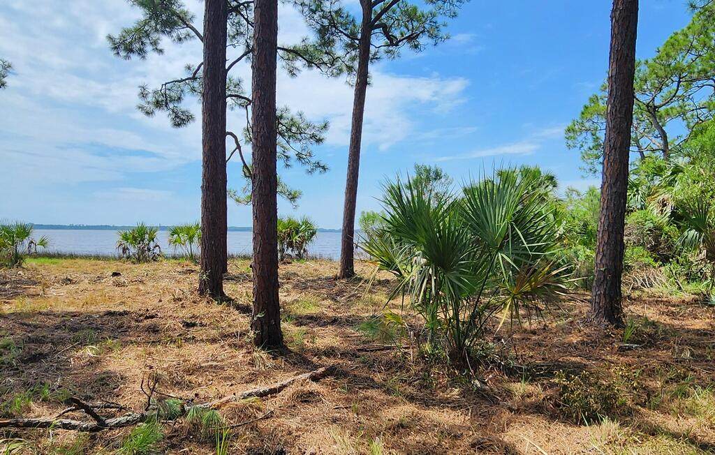 Lot 1 River Cove Rd - Photo 1