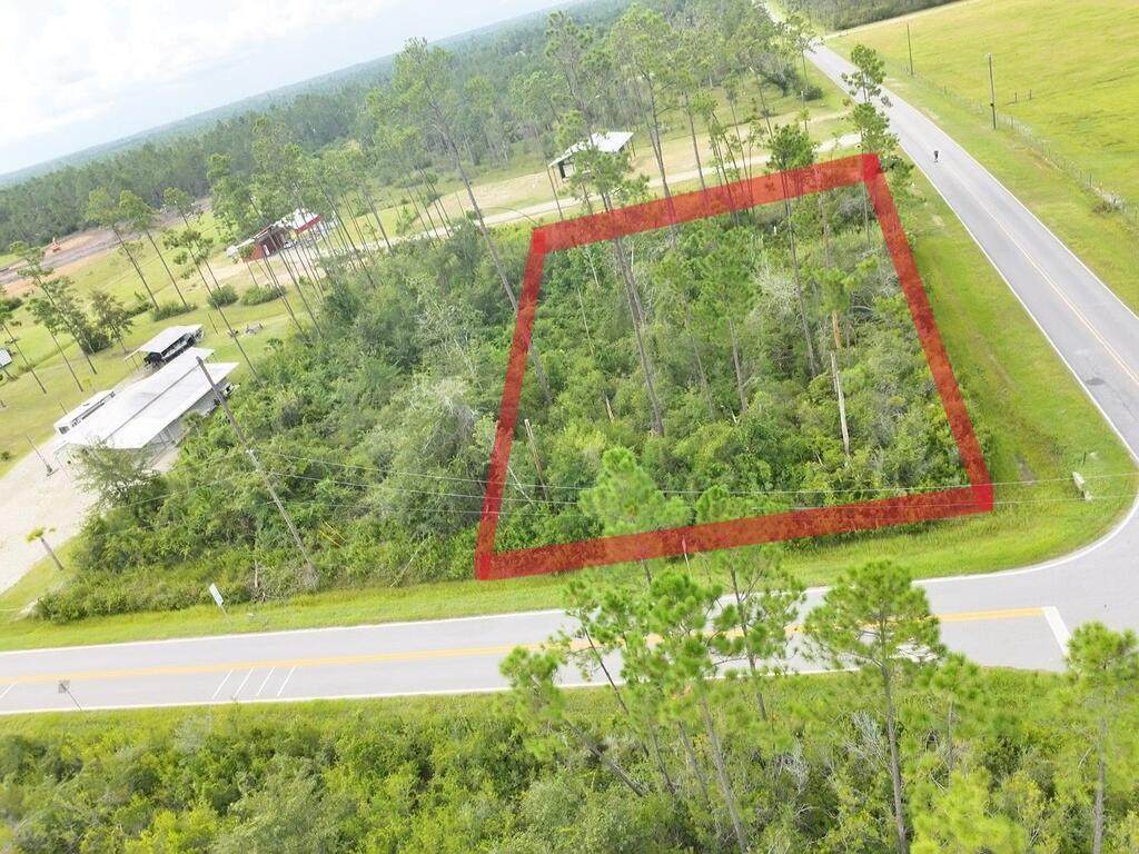 Lot 1 Borders Rd - Photo 1