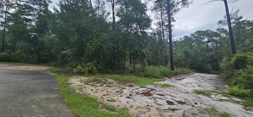 1008 Sunset Cir - Photo 1
