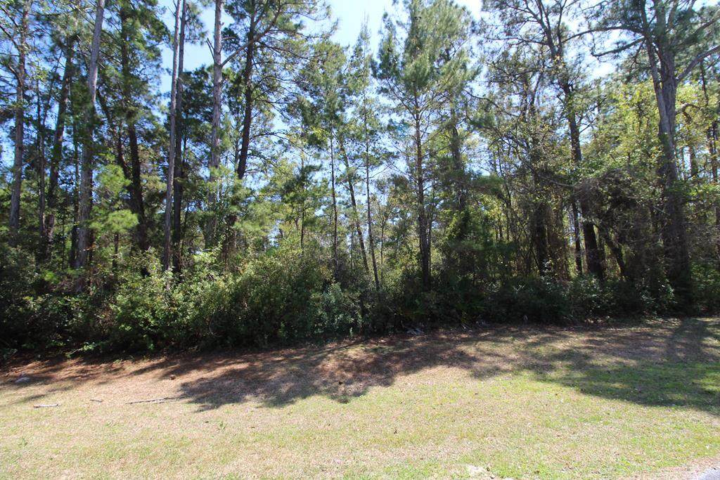 260 Boncycle Land Dr - Photo 1