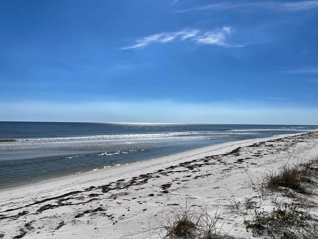 500 Gulf Shore Dr - Photo 1