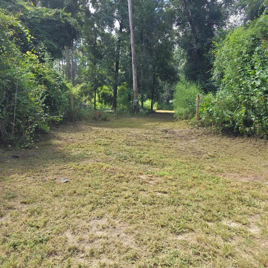 Lot 1 Donaldson Williams Rd - Photo 1