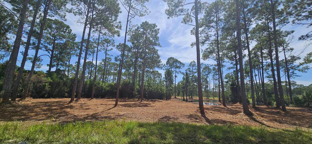 178 Baywood Dr - Photo 1